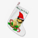 Recherche de colley chaussette de noël Mignon