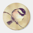 Recherche de brindille magnets Feuille