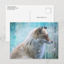 Recherche de fourrure cartes postales Poilu