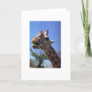 Recherche de girafe adorable vœux cartes Zoo