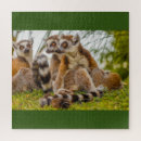 Zoek naar knuffel puzzels Bos