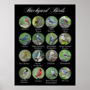 Zoek naar vogels posters Volière