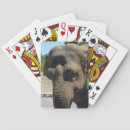 Zoek naar olifanten speelkaarten Spelen