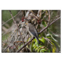 Recherche de canada planches à découper Faune