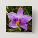 Recherche de domination badges Dominique