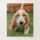 Recherche de basset puzzles Hound