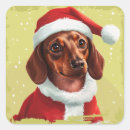 Zoek naar teckel kerstmis Xmas