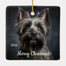 Zoek naar cairn terrier ornamenten Kerst