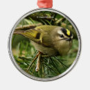 Recherche de remous ornements Oiseau