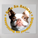 Recherche de recherche art Animaux domestiques