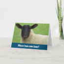 Zoek naar grappige schapen kaarten Pun