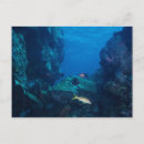 Recherche de moorea cartes postales Polynésie