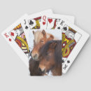 Recherche de islandais jeux de cartes Equus caballus