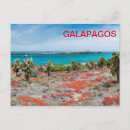Recherche de galapagos cartes postales Île