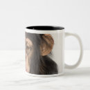 Recherche de tête de singe tasses Faune