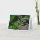 Recherche de larve vœux cartes Sauterelle