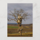 Recherche de treuil cartes postales Maison