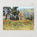 Recherche de la sicile cartes postales Ruine