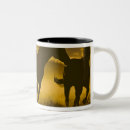 Recherche de seneca tasses Ranch ponderosa