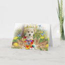 Zoek naar eggs easter kaarten Hond