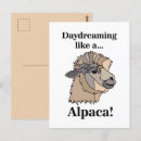 Recherche de drôle animal cartes postales Alpaga