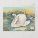Recherche de cygne vintage cartes postales Lac