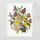 Recherche de vintage bordeaux cartes postales Floral