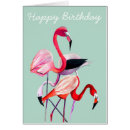 Zoek naar leuke flamingo kaarten Kleurrijk
