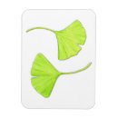 Recherche de feuille ginkgo magnets Ginko