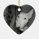 Zoek naar bull terrier ornamenten Foto