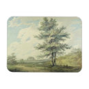 Recherche de turner magnets Mallord
