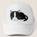 Zoek naar feline petten Dieren