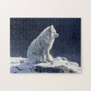 Recherche de renard blanc puzzles Neige