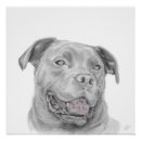 Recherche de pitbull posters Chiot