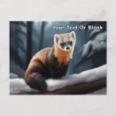 Recherche de faune américaine cartes postales Animaux