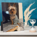 Zoek naar terrier fotoplaat Grappige hond