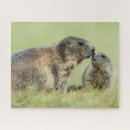 Recherche de animal de bébé puzzles Bois