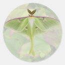 Recherche de mites autocollants Insecte