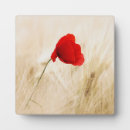 Recherche de coquelicot cadeaux Nature
