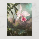 Recherche de botanique vintage cartes postales Fleurs