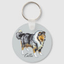 Recherche de berger accessoires Canine