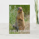 Zoek naar prairiehonden kaarten Leuk