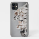 Recherche de malamute iphone coques Chiot