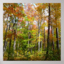Zoek naar herfstbos posters Landschap