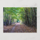 Recherche de couleurs automnales cartes postales Feuille