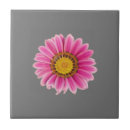 Recherche de roses carreaux Printemps