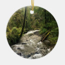 Recherche de short ornements Oregon