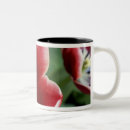 Recherche de keukenhof tasses Néerlandais