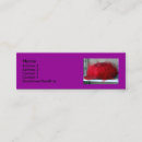 Recherche de mode de dames cartes visite Rouge