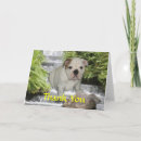 Recherche de bulldog remerciements cartes Chiot